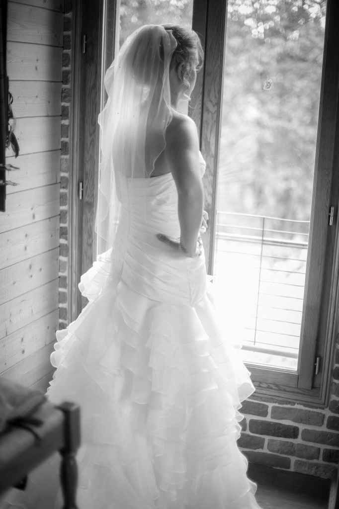 Les voilà enfin !!! - 2