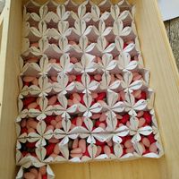 Boîtes dragées - 2