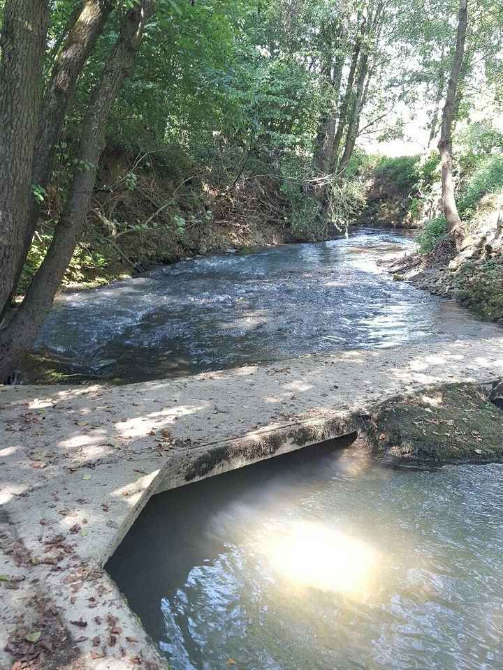 Ma salle décorée - 5