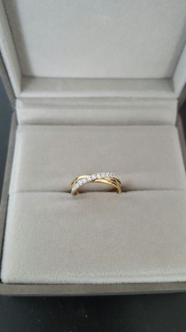 Ma precieuse alliance - 1