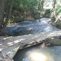 Ma salle décorée - 5