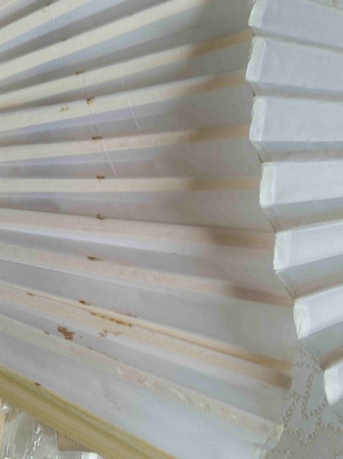 150 éventails pourris 