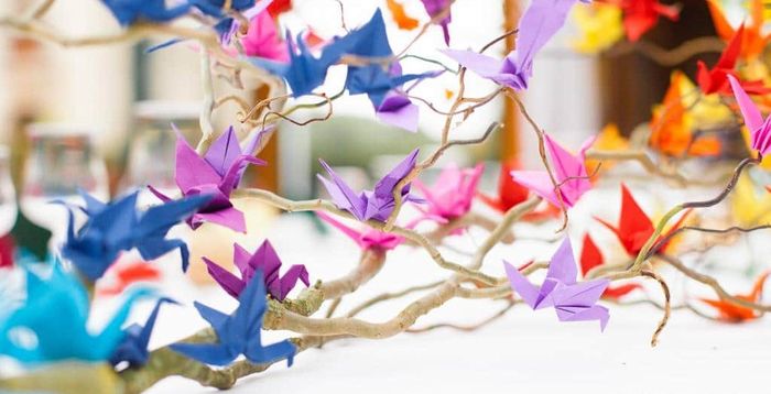 Fleurs de cerisiers - 1