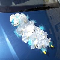 Ma compo de voiture