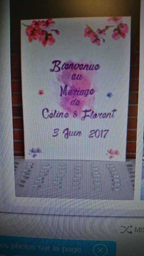 Mariage blanc et violet 3 juin 2017 - 15