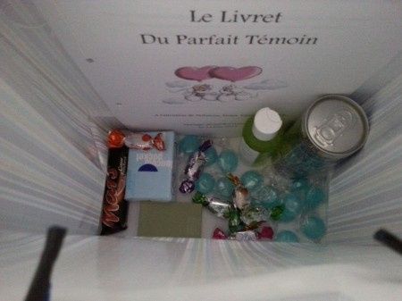 le kit du parfait témoin des garcons 