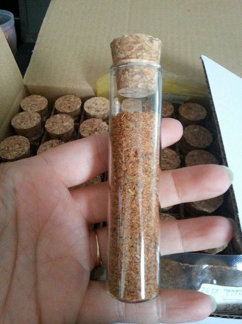 mes tubes commencent a prendre forme