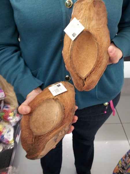 demi noix de coco 