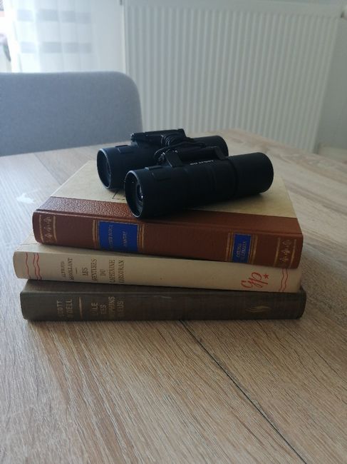 Comment choisir ses couleurs ? 😳 2