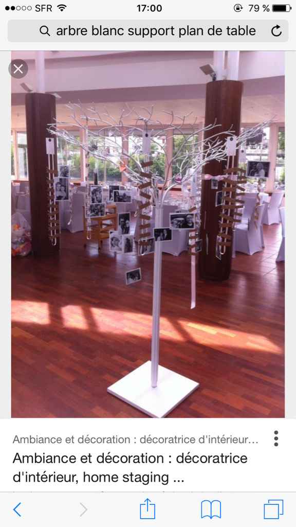 Ou trouver ce genre d'arbre ? - 1