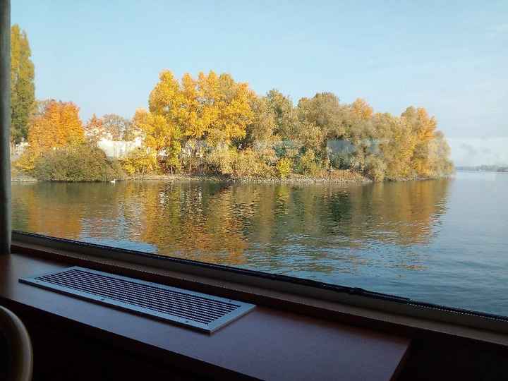 Notre grand jour 🥂 - 12