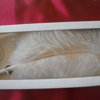 Plume