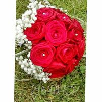 Le gypsophile dans tous ces états. .. - 1