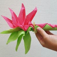 Pliage de serviette - 1