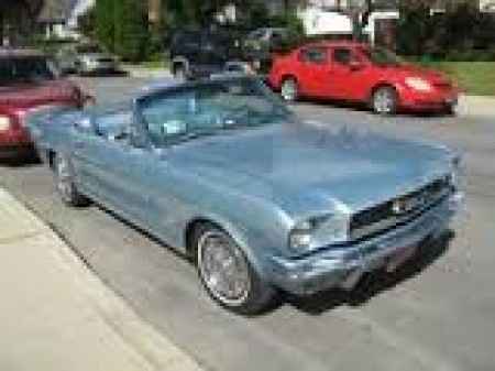 mustang