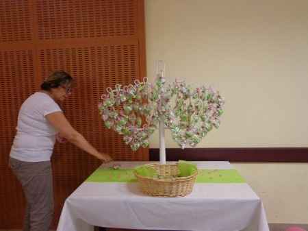 mariage fushia et anis 