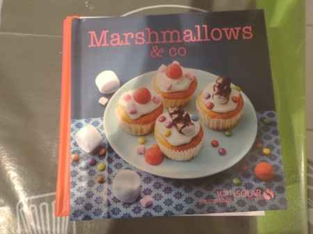 livre marshmallow 2