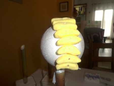 atelier arbre a bonbon 12