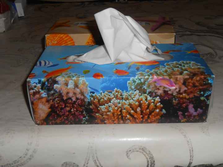 Boîtes de mouchoirs