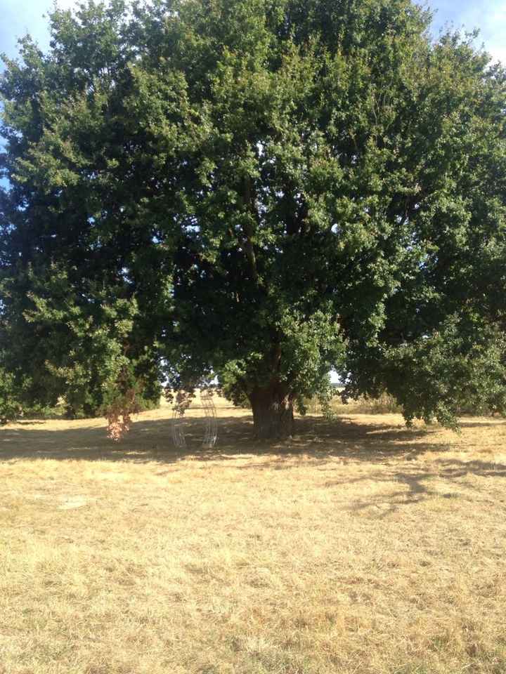 Nous nous marions le 9 Septembre 2017 - Indre-et-Loire - 2