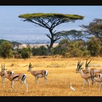  Voyage de Noces plusieurs mois après mais où ?? - 3