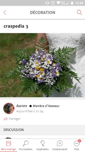 Bouquet de mariée - Septembre 5