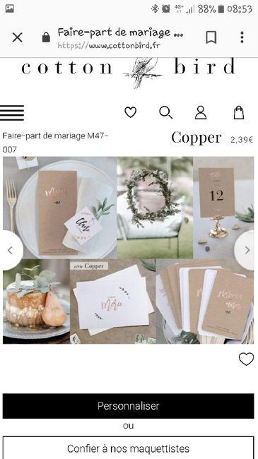 Site Cotton Bird - 2