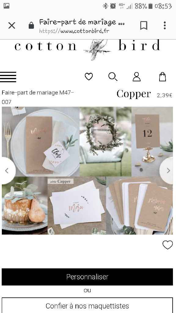 Site Cotton Bird - 2