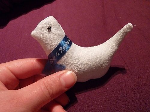 Oiseau avec de la lavande
