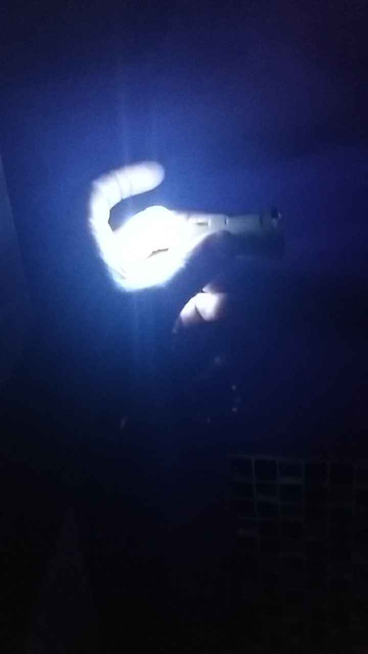 les fameux bouchons led. Eclairage dans mes toilettes lol.