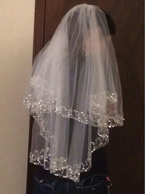 Voile ou pas ? 👰 - 1