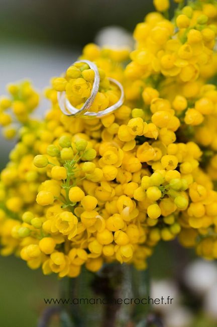 Inspiration printemps lumineux - 4