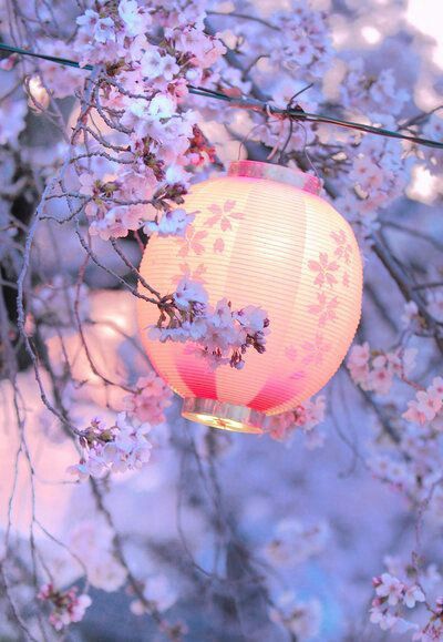 Inspiration printemps lumineux japonais 🎌 - 40