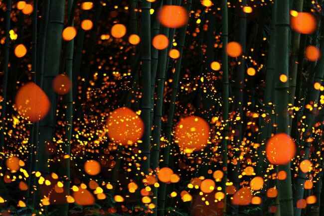 Inspiration printemps lumineux japonais 🎌 - 38