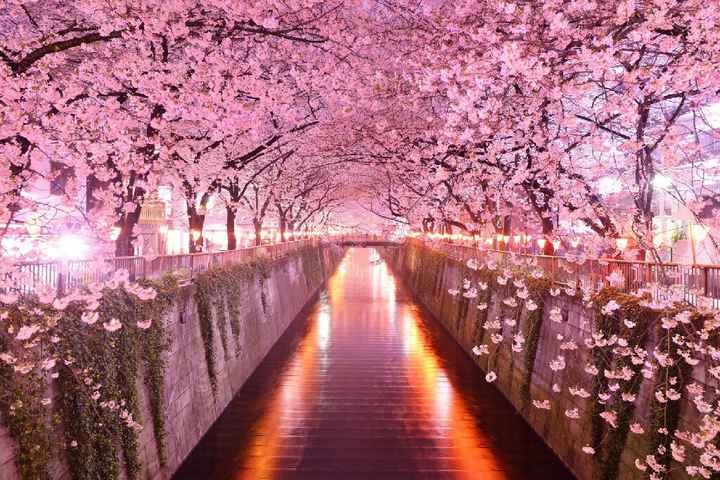 Inspiration printemps lumineux japonais 🎌 - 41