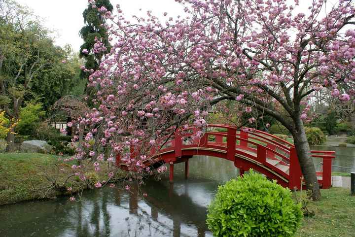 Inspiration printemps lumineux japonais 🎌 - 43