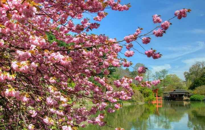 Inspiration printemps lumineux japonais 🎌 - 44