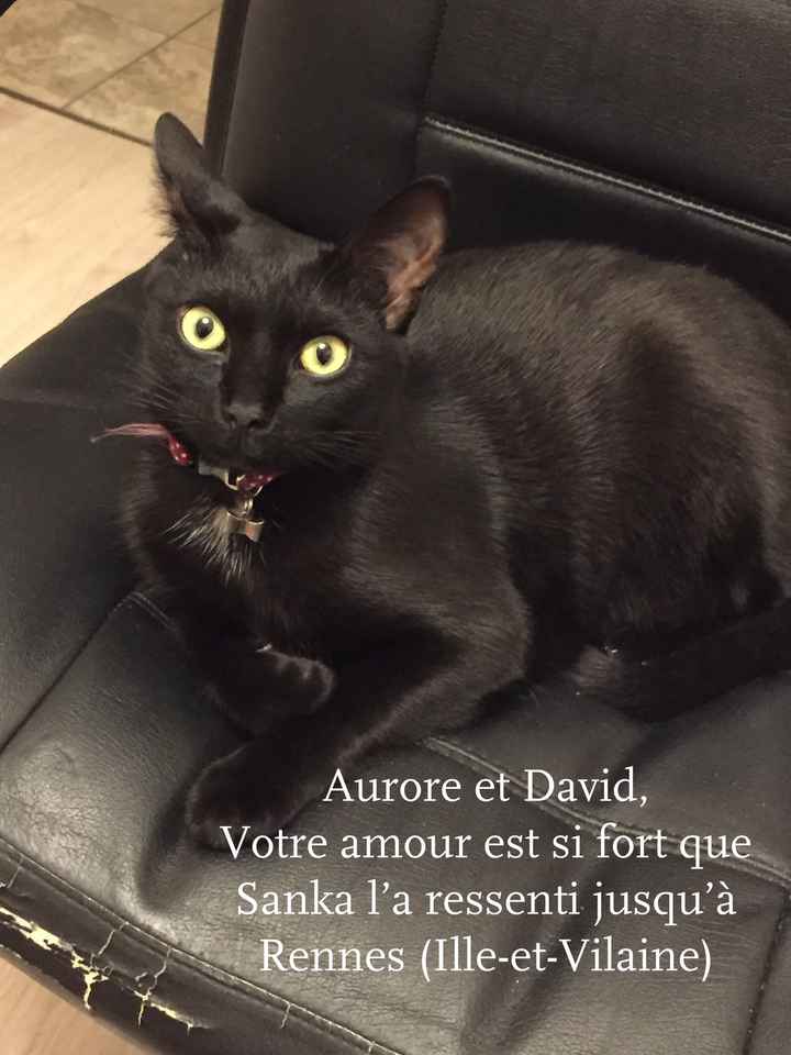 Love note animalier - 1