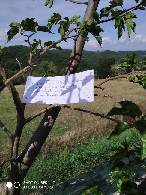 Besoin d'aide - love notes - 1