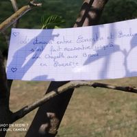 Besoin d'aide - love notes - 1