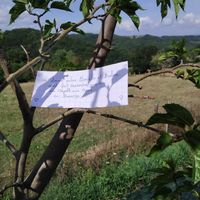 Besoin d'aide - love notes - 1