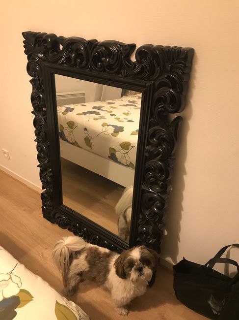 Grand miroir trouvé 😊 - 1