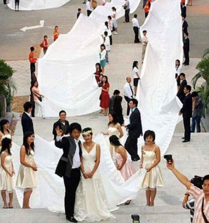 Quand il en faut pour tous les goûts 😂😂 - 4