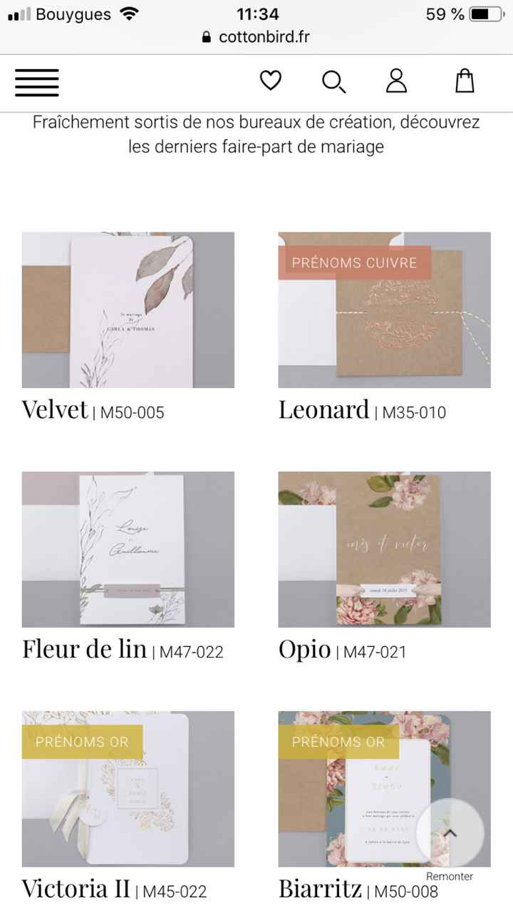 Nouveautés Cotton Bird - 1