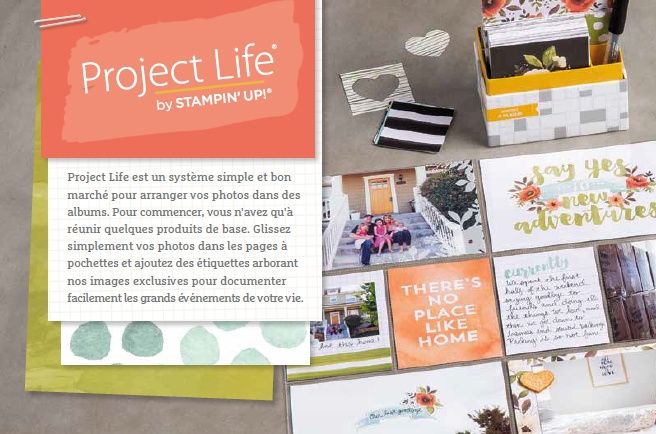 project life - book de mariage