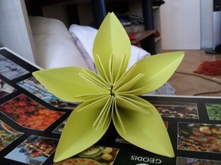 essai de fleurs