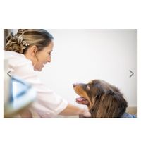 Fin de l'aventure - 6