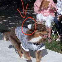 Fin de l'aventure - 1