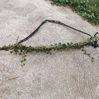 Dernières déco - 5