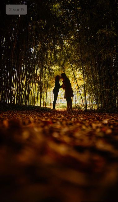 Séance d'engagement 1
